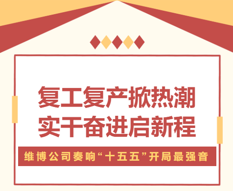 復工復產掀熱潮 實干奮進啟新程 —— 維博公司奏響 “十五五” 開局最強音